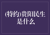 贵阳民生：探索城市发展的温度与厚度