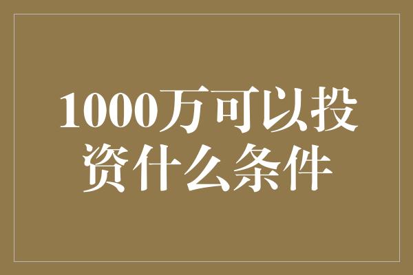 1000万可以投资什么条件