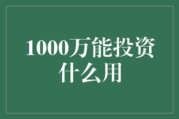 1000万能投资什么用