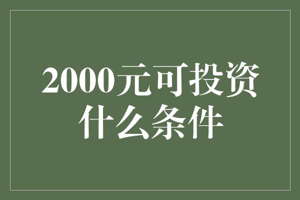 2000元可投资什么条件