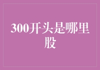 300开头是哪里股？揭秘股市代码背后的秘密！