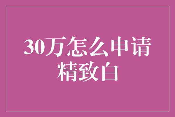 30万怎么申请精致白