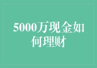 5000万现金如何理财：稳健与增值策略解析