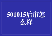 501015后市展望：股票投资策略分析与风险防范