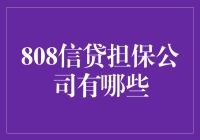 探秘808信贷担保公司：中国金融行业的独特生态