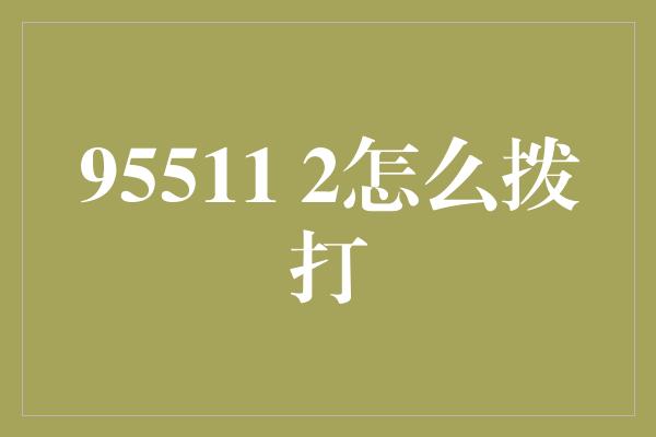 95511 2怎么拨打