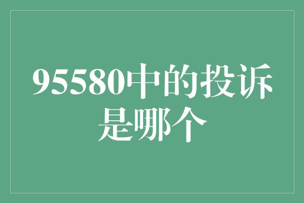 95580中的投诉是哪个