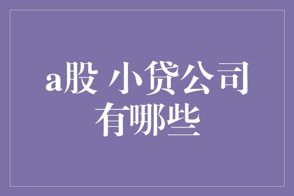 a股 小贷公司有哪些