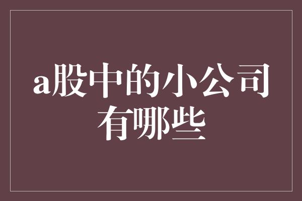 a股中的小公司有哪些