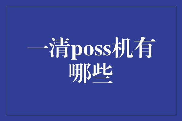 一清poss机有哪些