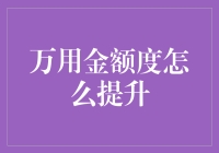 如何有效提升万用金额度：策略与注意事项