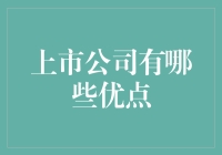 上市公司：企业成长的强心剂与投资的避风港