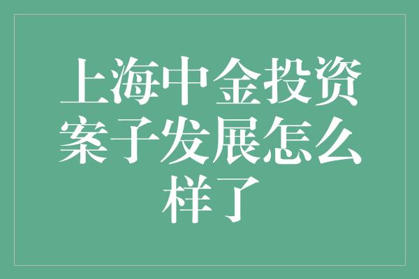 上海中金投资案子发展怎么样了