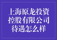 十万个为什么：上海原龙投资控股有限公司的待遇怎么样？