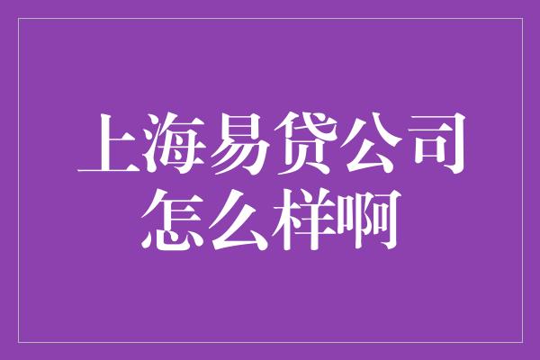 上海易贷公司怎么样啊