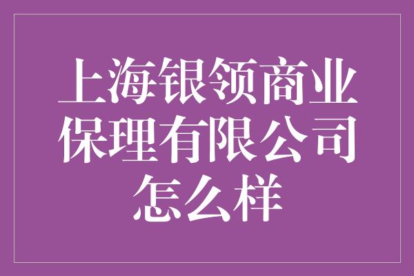 上海银领商业保理有限公司怎么样