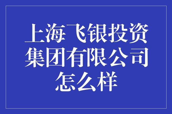 上海飞银投资集团有限公司怎么样