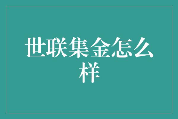 世联集金怎么样