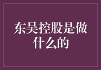 东吴控股：引领长三角区域发展的金融巨擘