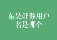 东吴证券用户名解析：构建个性化数字身份的学问