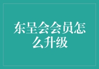 东呈会会员等级升级攻略：从新手到尊贵会员的成长之路