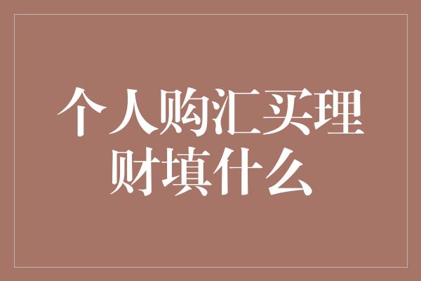 个人购汇买理财填什么