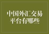 中国外汇交易平台：外汇市场中的佼佼者与创新者