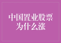 中国置业股票为何持续上涨：多因素叠加下的房地产市场回暖