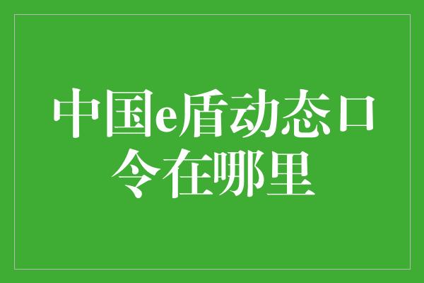 中国e盾动态口令在哪里