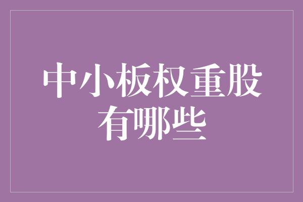 中小板权重股有哪些