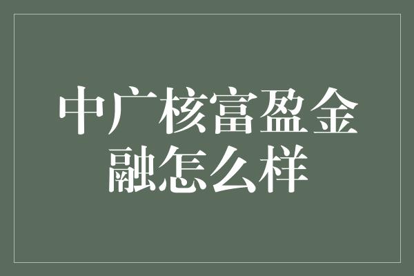 中广核富盈金融怎么样