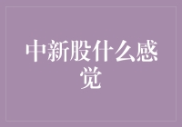 中新股什么感觉：从彩票中奖到股东身份的奇妙转变