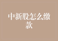 新股申购缴款流程详解：如何在中签后顺利完成缴款