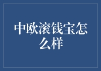 中欧滚钱宝的神奇之旅：从迷茫到财主的华丽转身