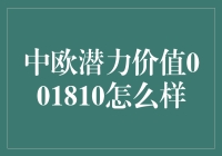 中欧潜力价值001810，投资界的新晋网红，你打卡了吗？