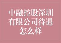 中融控股深圳有限公司待遇解析：专业视角下的全面解读