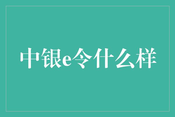 中银e令什么样