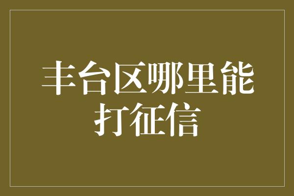 丰台区哪里能打征信