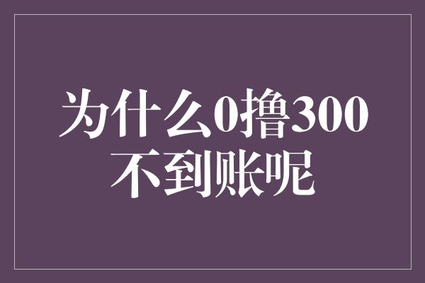 为什么0撸300不到账呢