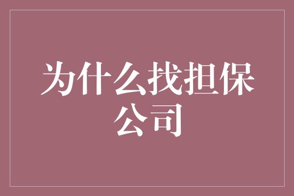 为什么找担保公司