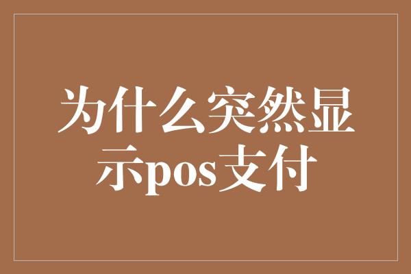 为什么突然显示pos支付