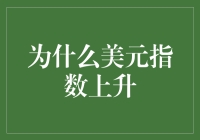 美元指数上升的多重因素解析：全球经济格局下的焦点