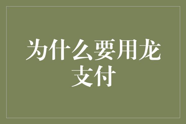 为什么要用龙支付