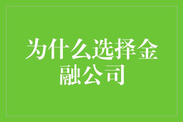 为什么选择金融公司