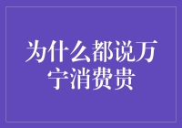 万宁的物价：是海岛经济的甜蜜烦恼还是游客钱包的苦涩算盘？