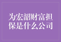 揭秘为宏韶财富担保：真的能保护你的钱袋子吗？