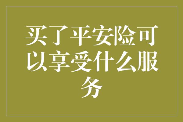 买了平安险可以享受什么服务