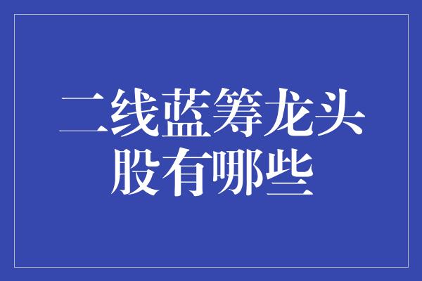 二线蓝筹龙头股有哪些