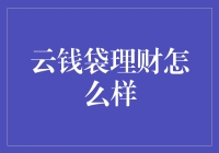 云钱袋理财：新兴理财方式的潜力与挑战