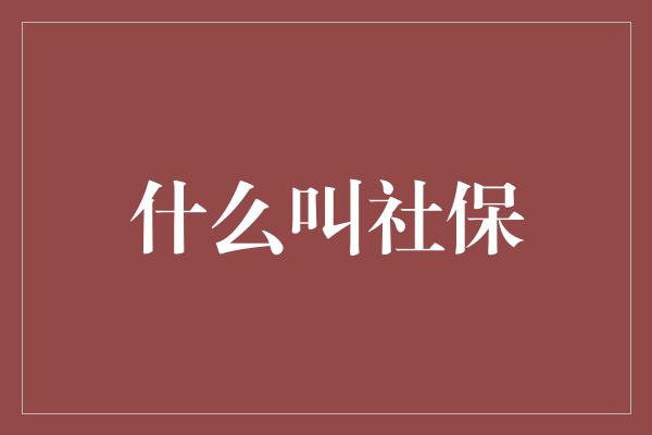 什么叫社保